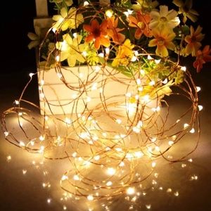 Ariceleo Mini  Fairy Lights Battery Operate, 1 Pack Copper Wire Night